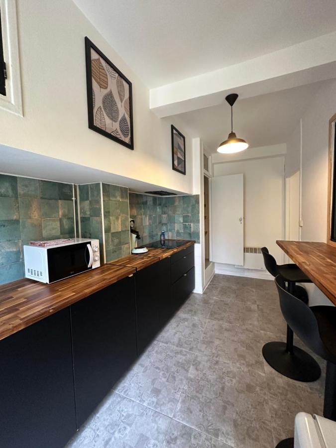 Appartement Minervoise - Gare Каркассонн Екстер'єр фото
